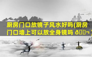 厨房门口放镜子风水好吗(厨房门口墙上可以放全身镜吗 🐬 )